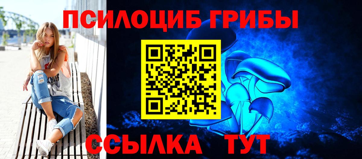 Псилоцибиновые грибы прущие грибы Шали